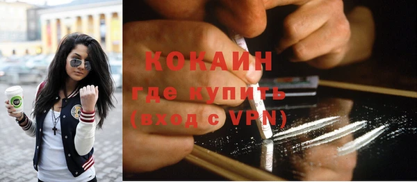 стафф Вязьма