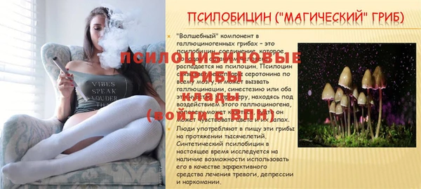 не бодяженный Каменка