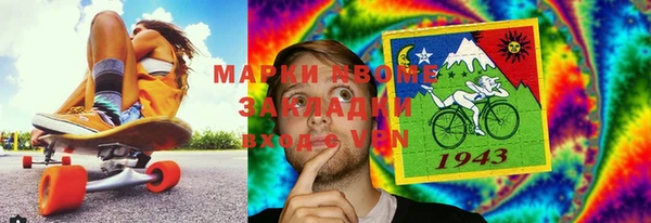 стафф Вязьма