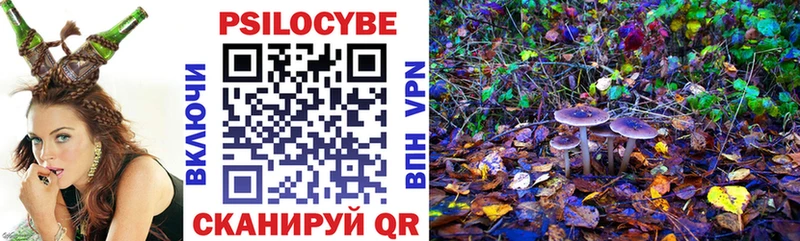 купить   Краснознаменск  Псилоцибиновые грибы мухоморы 